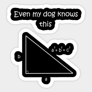 Even my dog knows pythagorean theorem Sticker